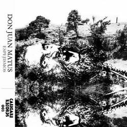 Don Juan Matus : Espejismos